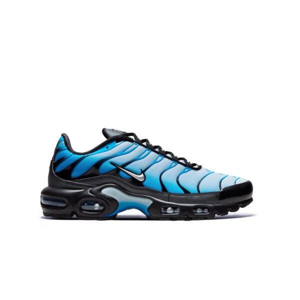 Nike AIR MAX PLUS BLUE Gradient