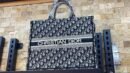 Christian Dior Medium Book Tote Oblique