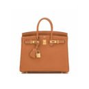 Hermes Birkin 25 Gold Camel