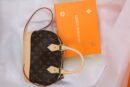Louis Vuitton Nano Alma Monogram