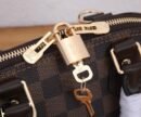 Louis Vuitton black brown bag