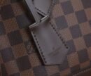 Louis Vuitton black brown bag
