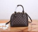 Louis Vuitton black brown bag