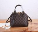 Louis Vuitton black brown bag