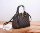 Louis Vuitton black brown bag