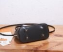 Louis Vuitton black brown bag