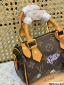Louis Vuitton Speedy 20 New York