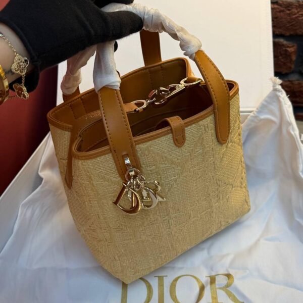 Dior Toujours Bag Small