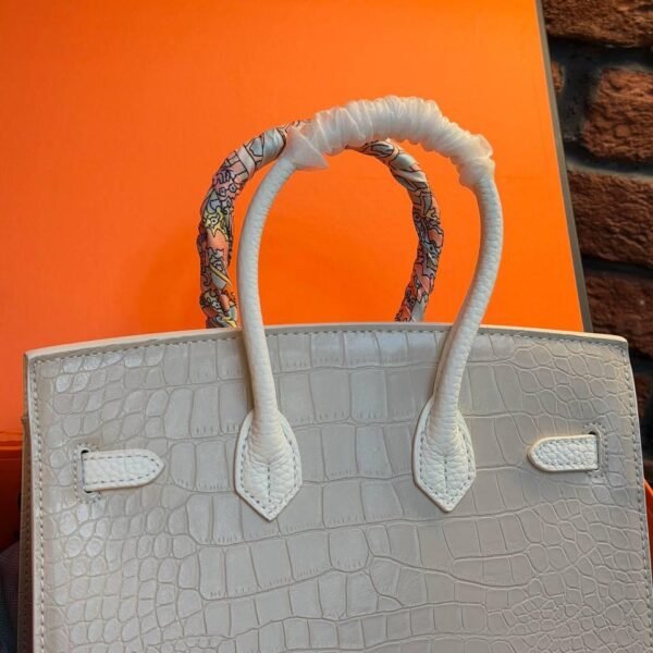 Hermes Birkin 20 Bag "White"