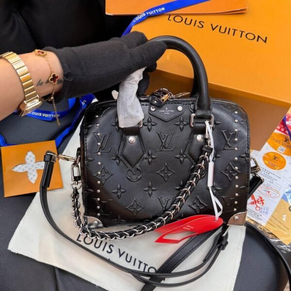 Louis Vuitton Speedy Trunk 20