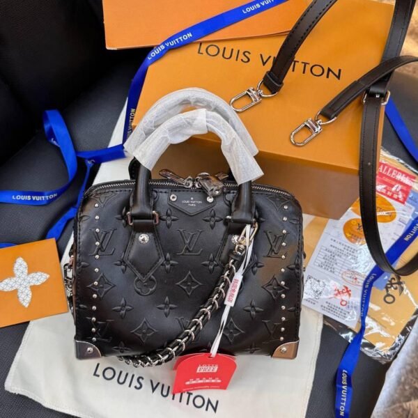 Louis Vuitton Speedy Trunk 20