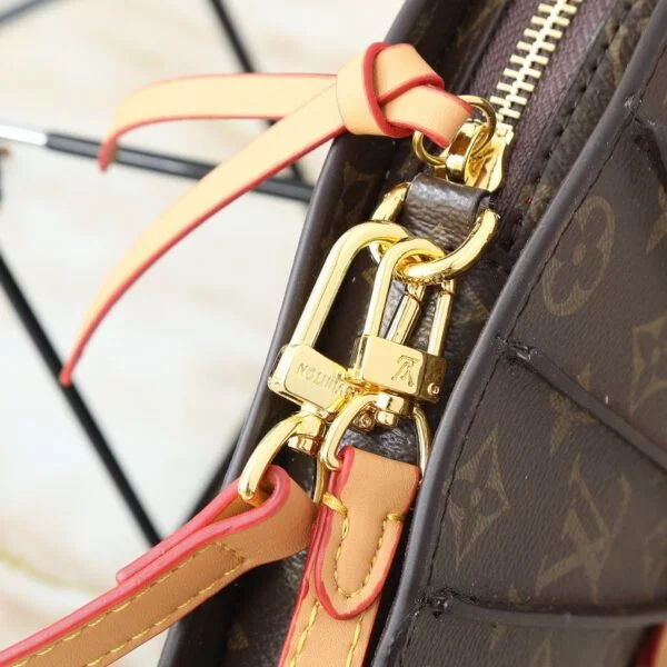 Louis Vuitton Fan Monogram Bag