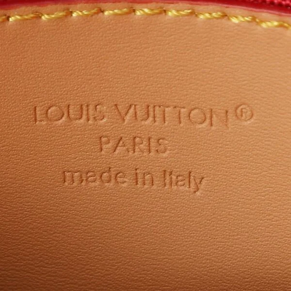 Louis Vuitton Fan Monogram Bag